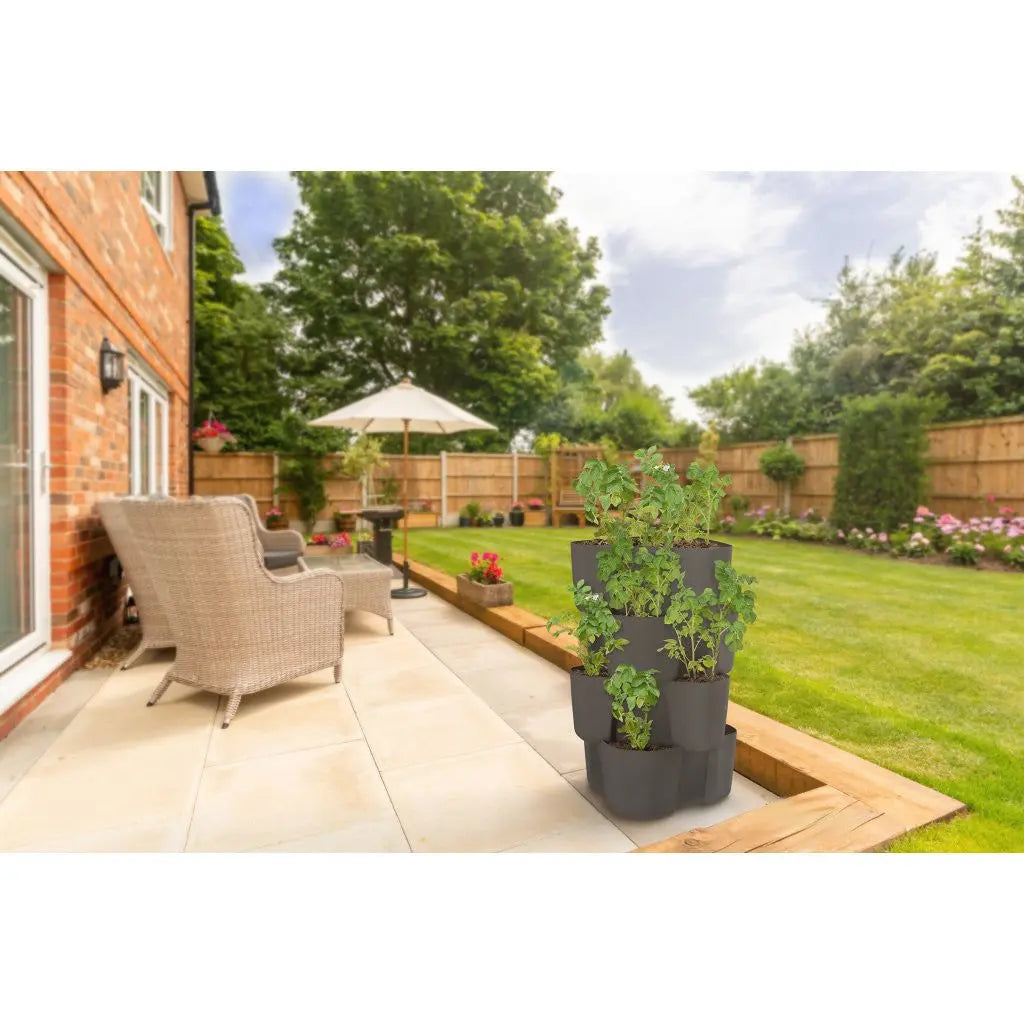 Plastkon -Kartoffelschweiß, Topf für Kartoffelwachstum PLASTKON