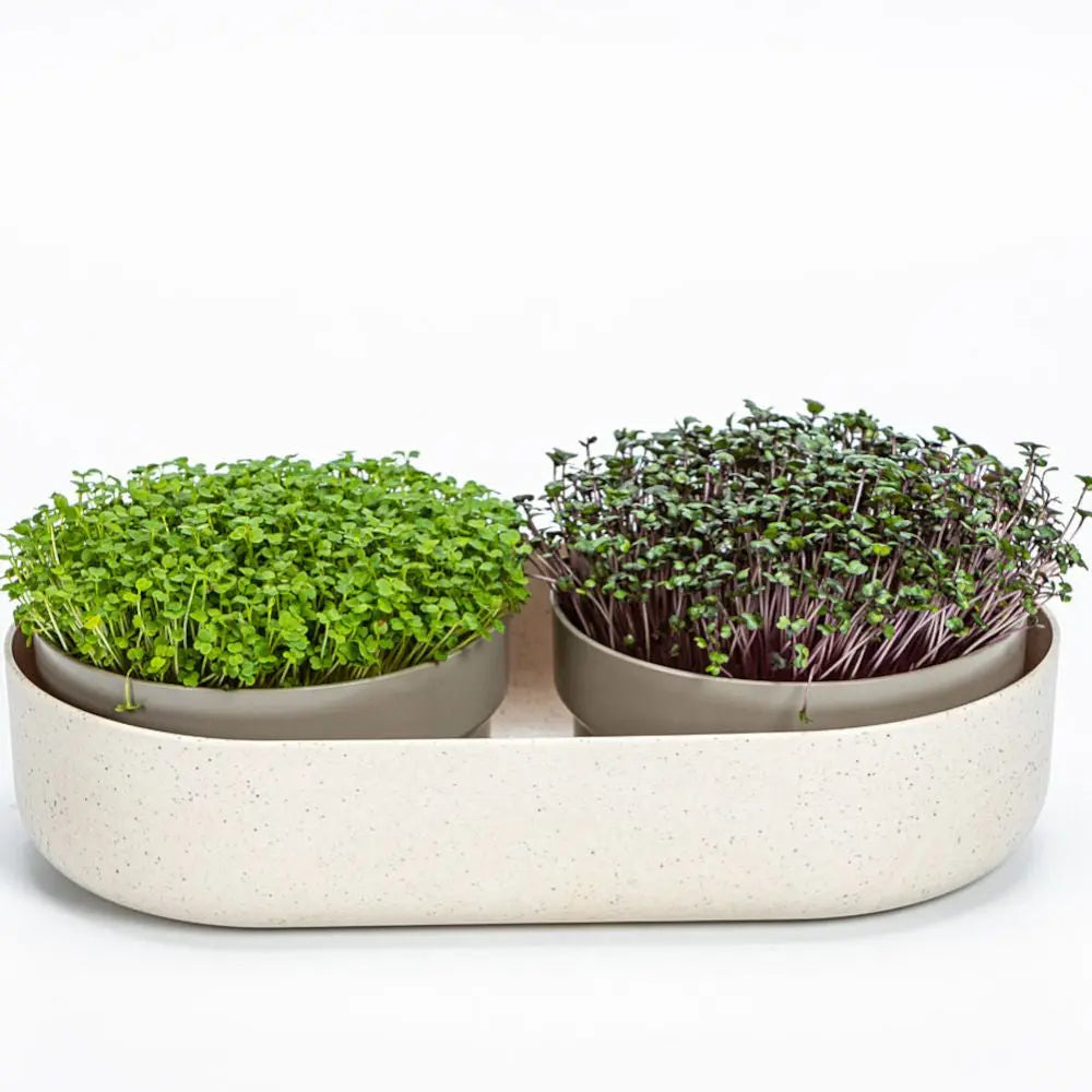 Plastia Large Farm Microgreens+Regrow - elfenbeinfarben Urbalive