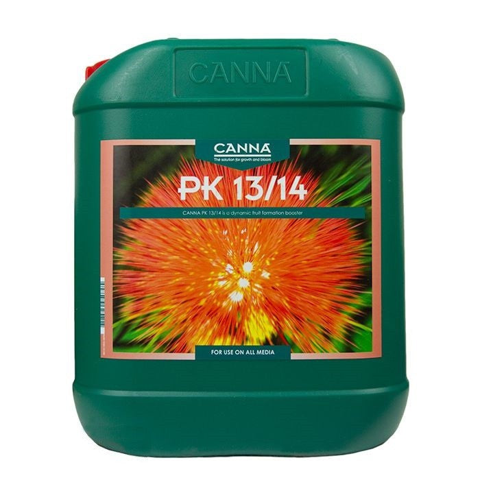 Canna PK 13/14 Canna