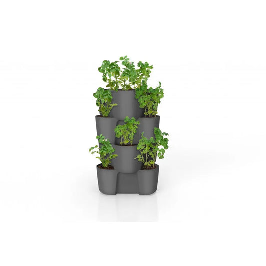 Plastkon -Kartoffelschweiß, Topf für Kartoffelwachstum PLASTKON