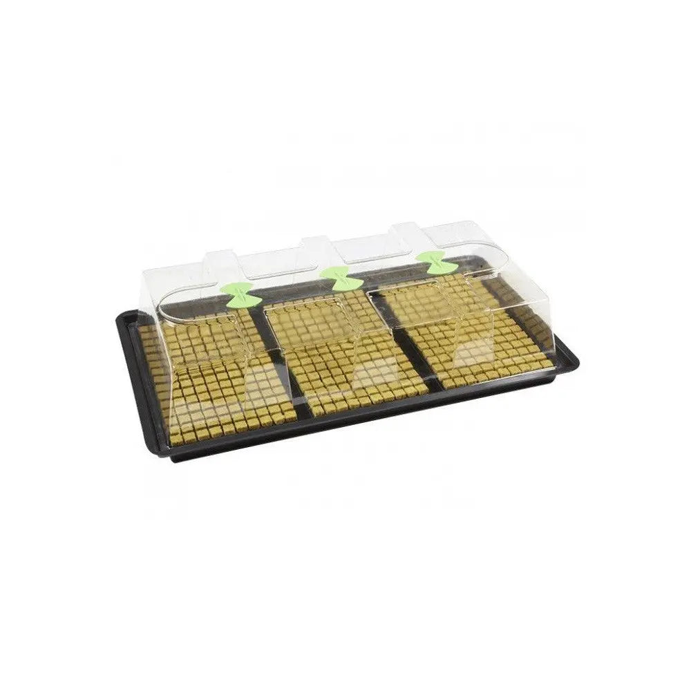 NutSystems X-Stream Propagator L, Hartplastik, unbeheizt, 110.5x58.5x28 cm Nutriculture