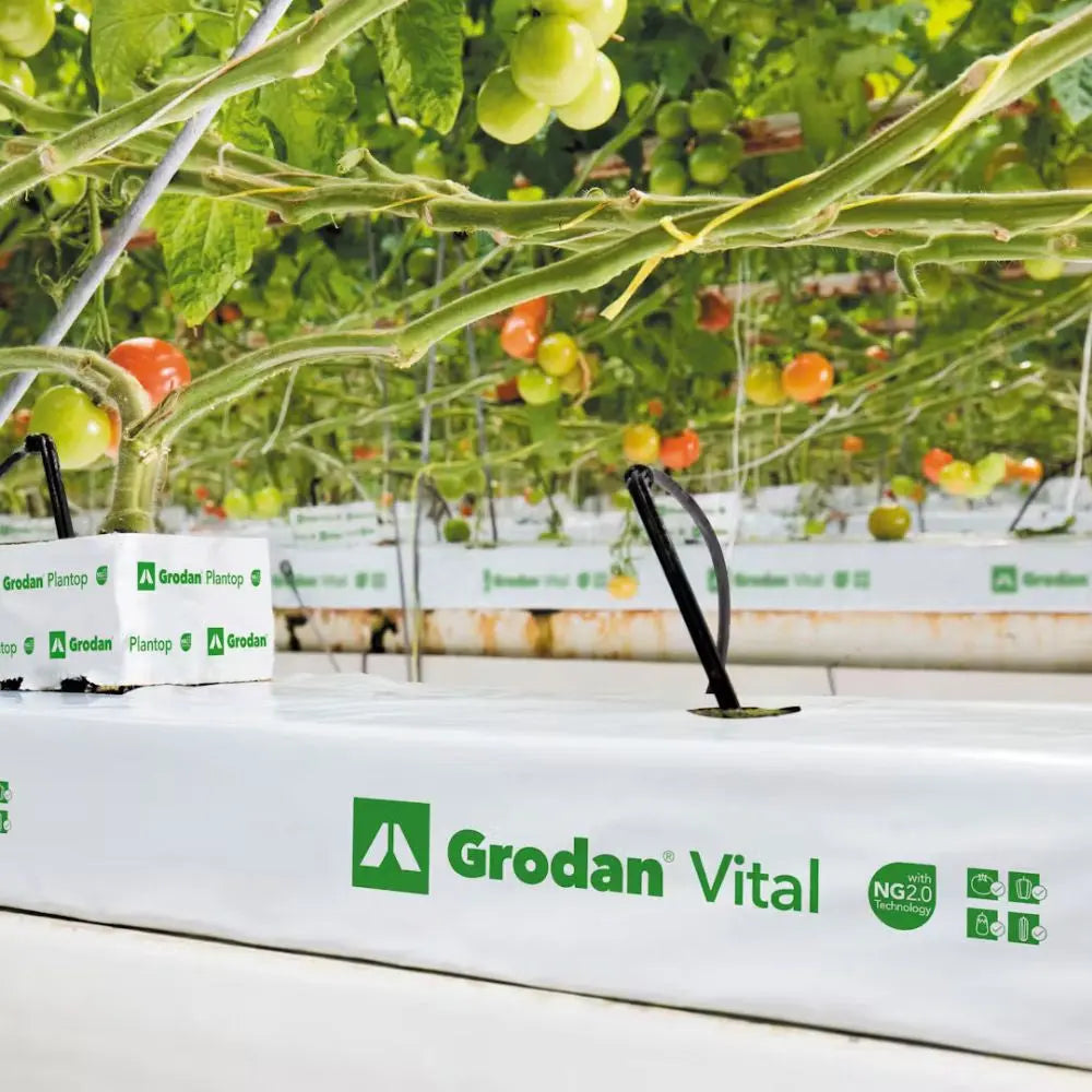Grodan VITAL NG2.0 - 1000x150x75 mm, matt, BOX 16 Stück Grodan