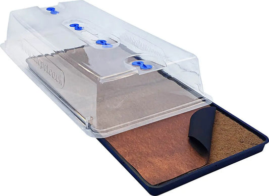 Autopot Easy2Propagate Basic Kit Autopot