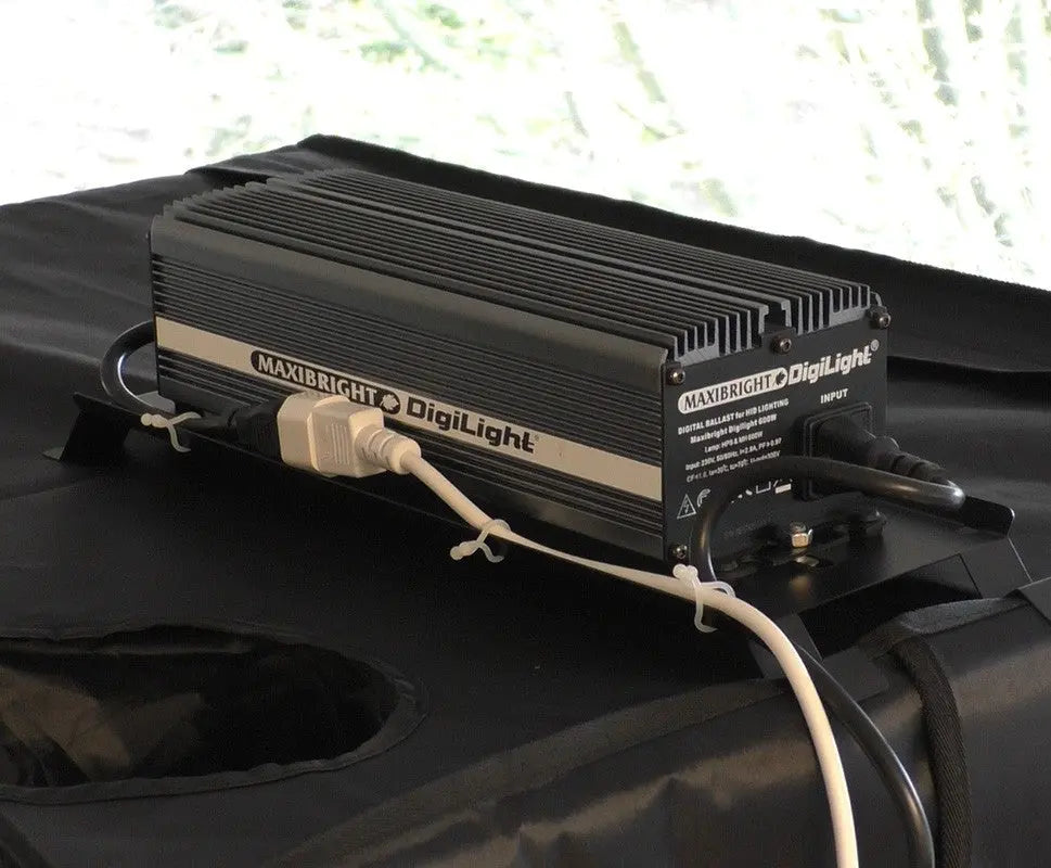 Secret Jardin CARRY IT Secret Jardin