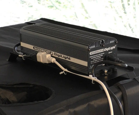 Secret Jardin CARRY IT Secret Jardin