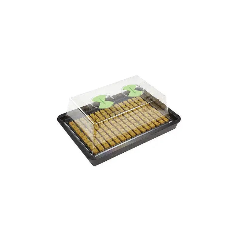 NutSystems X-Stream Propagator S, Hartplastik, unbeheizt, 61x41x27 cm Nutriculture