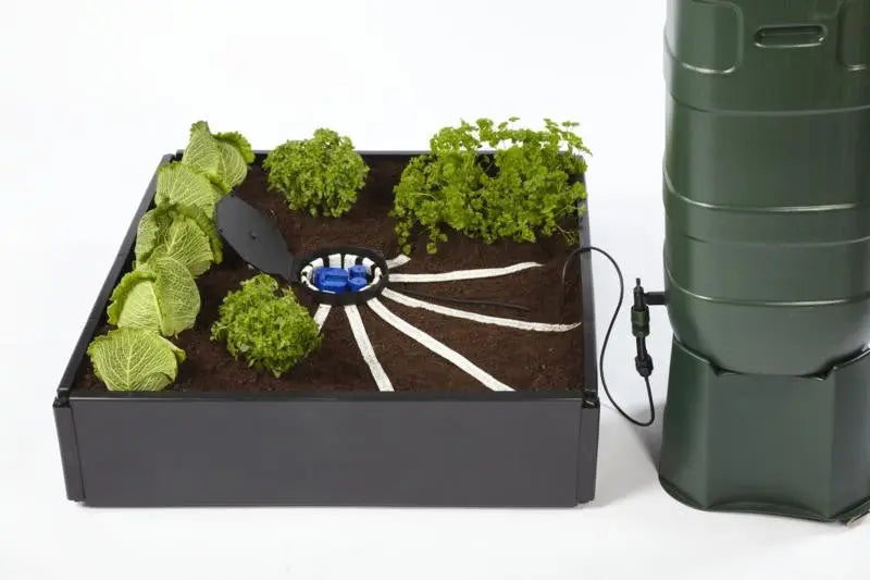 Autopot Aquabox Spyder plain Autopot