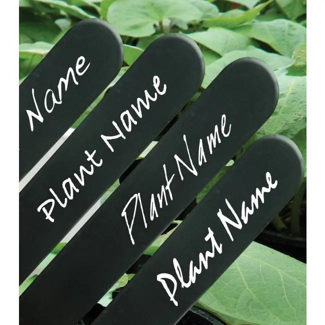 Garland Plant Label, 15 cm schwarze Etiketten 25 Stk. Garland