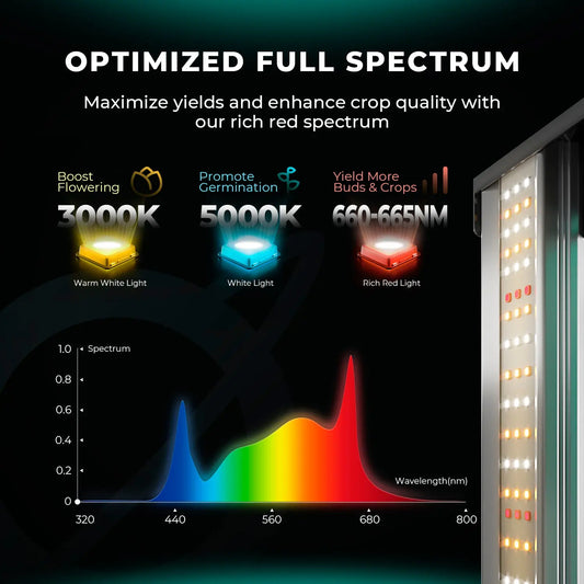 Mars Hydro FC 4800-EVO Full Spectrum LED Grow Lights - Best Yield 480W Lampe für 120x120cm GrowBox Zelt Mars Hydro