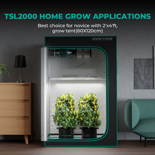 Mars Hydro TSL2000 Complete Grow Tent Kit | 300W LED Grow Light + 120x60x180cm Indoor Grow Tent + 4″ Ventilation System | Perfect Rectangular Lighting für 2-4 Pflanzen Growhub