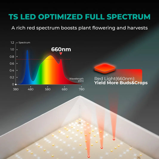 Mars Hydro TS 1000 Vollspektrum LED Grow Licht 150W Dimmbar 1-3 Pflanzen Mars Hydro
