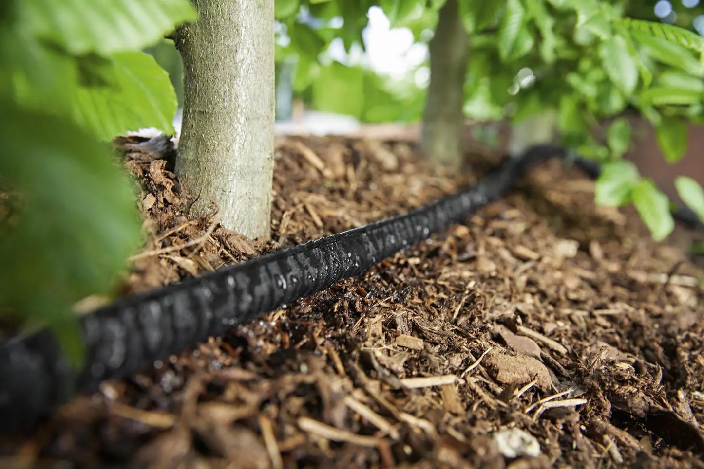 Irrigatia Mikroporöser Schlauch mit Dupont™ Tyvek® - 25m Irrigatia