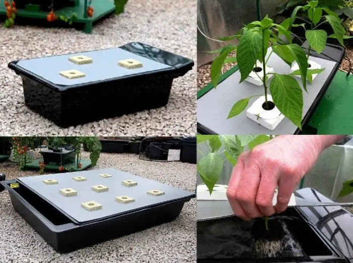 NutSystems NFT Gro Tank GT 205 - 69.5x29.5x19.5 cm Nutriculture