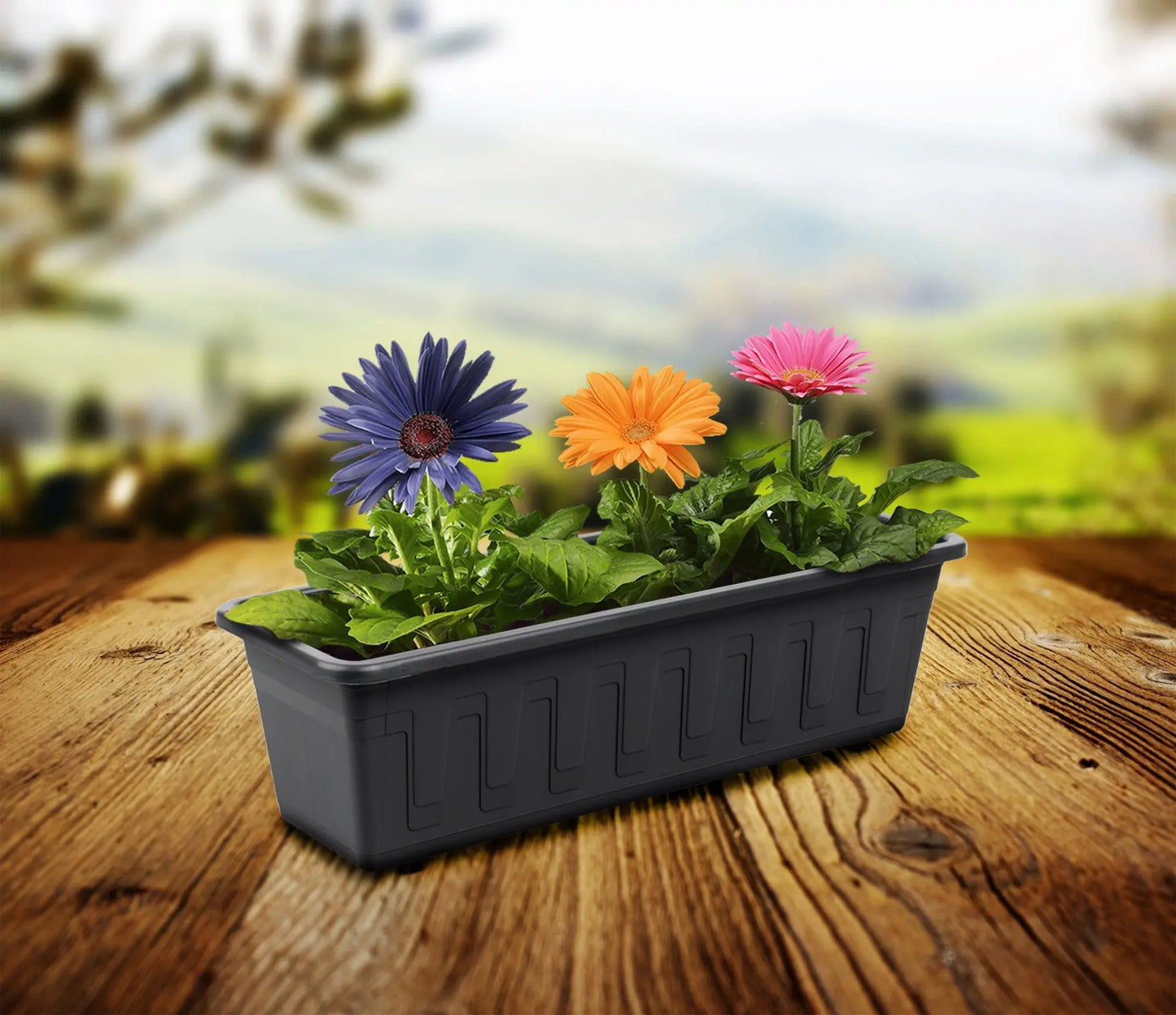 Garden box, 100cm anthracite length PLASTKON