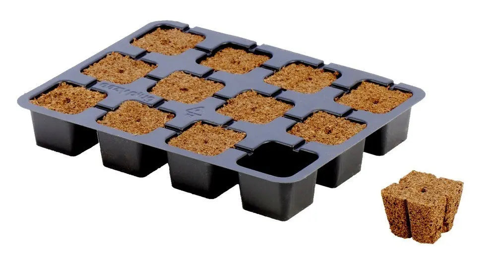 HGA Garden Eazy Plug CT12 Tray, 19x14.5x3 cm HGA Eazy Plug