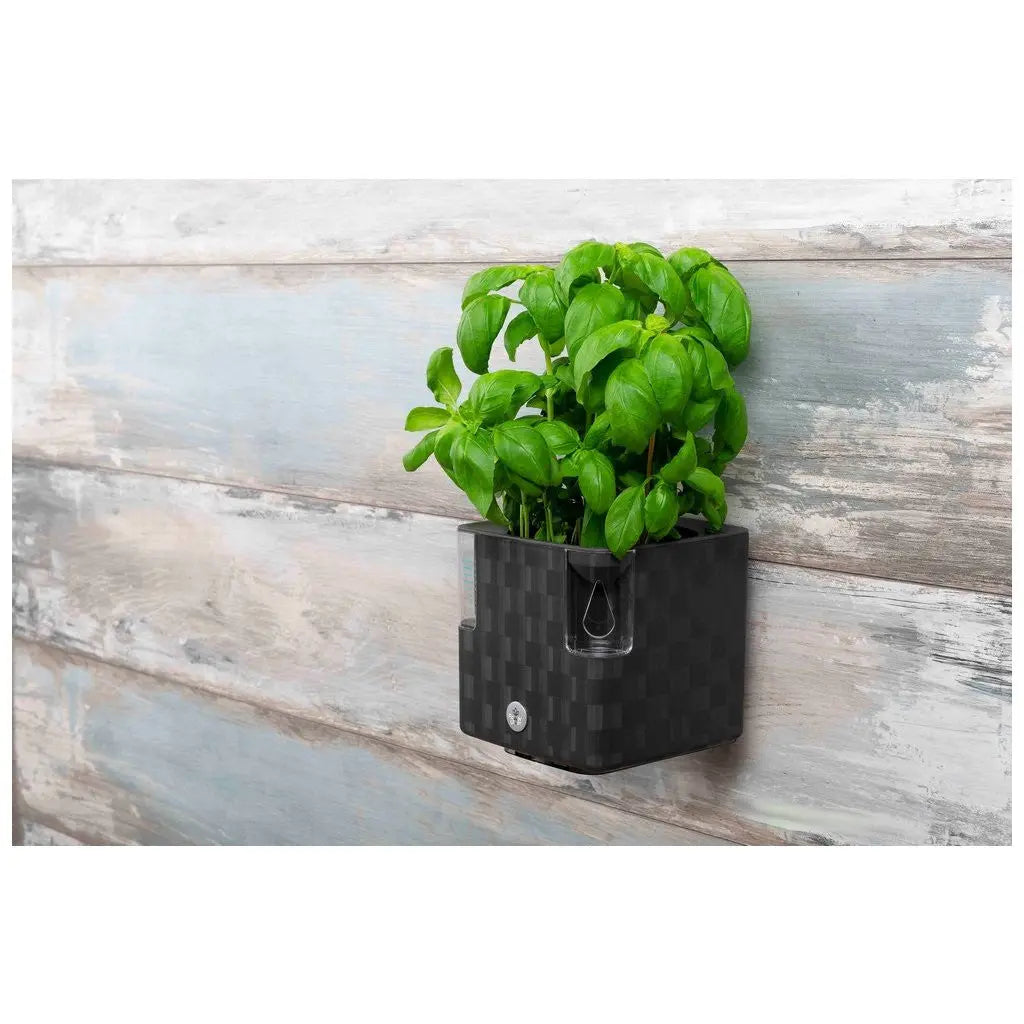 Cobble Holder Bracket PLASTKON