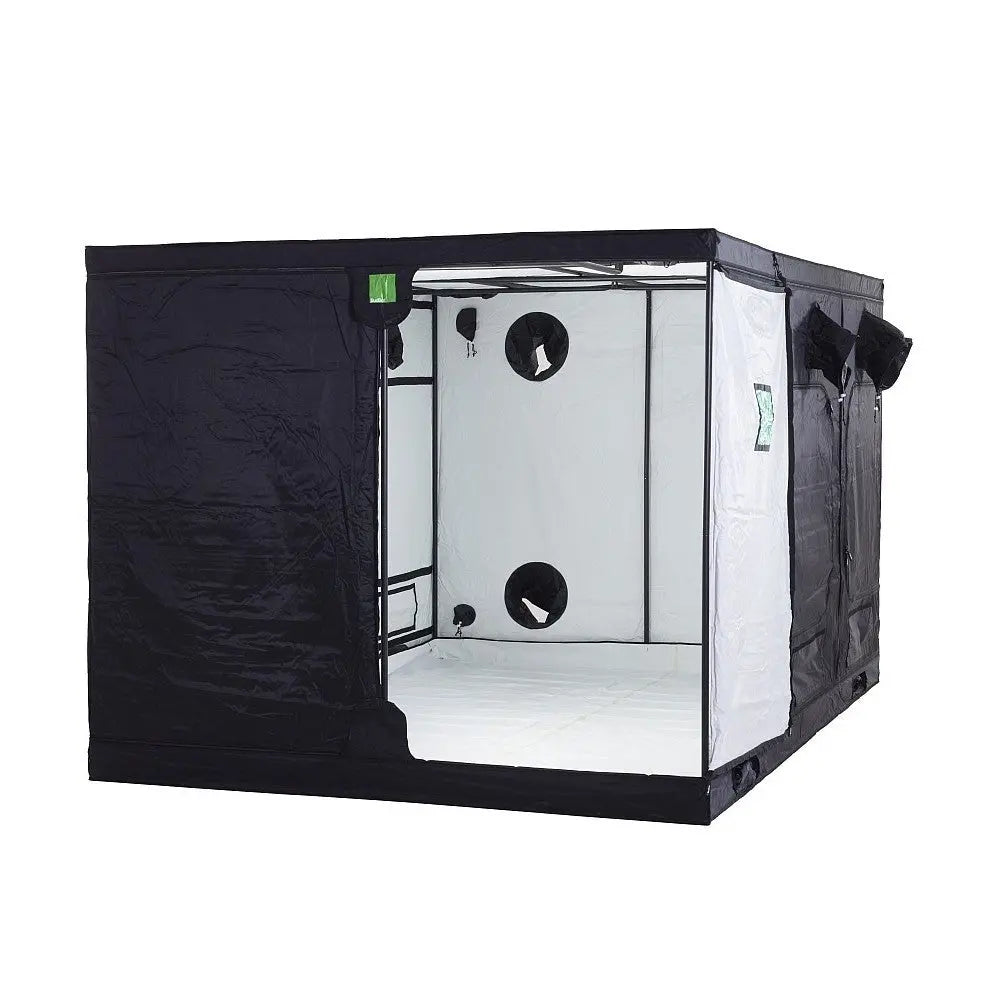 Budbox White PRO Titan II HL 240x360x220 cm BudBox