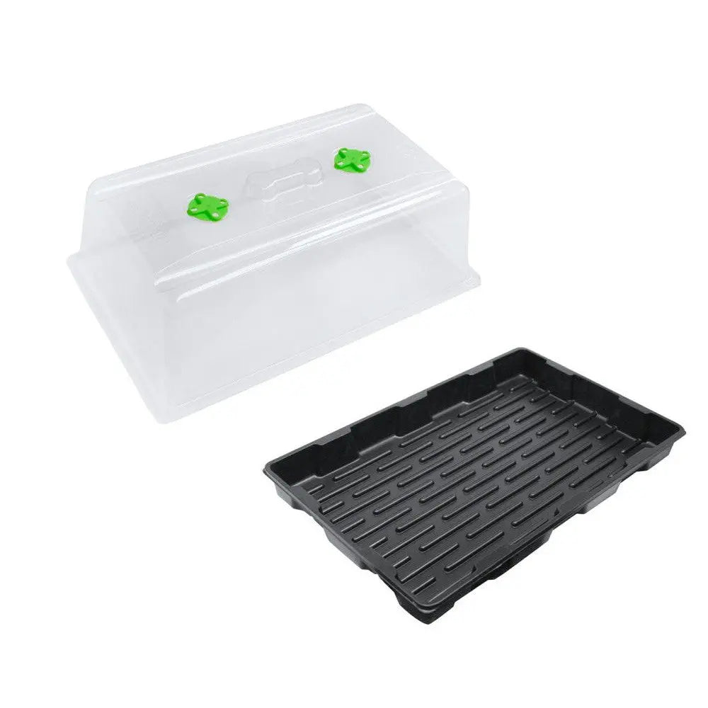 Root!t Greenhouse II, ungeschrieben, mit dem Licht, 57x37x20 cm Root!t