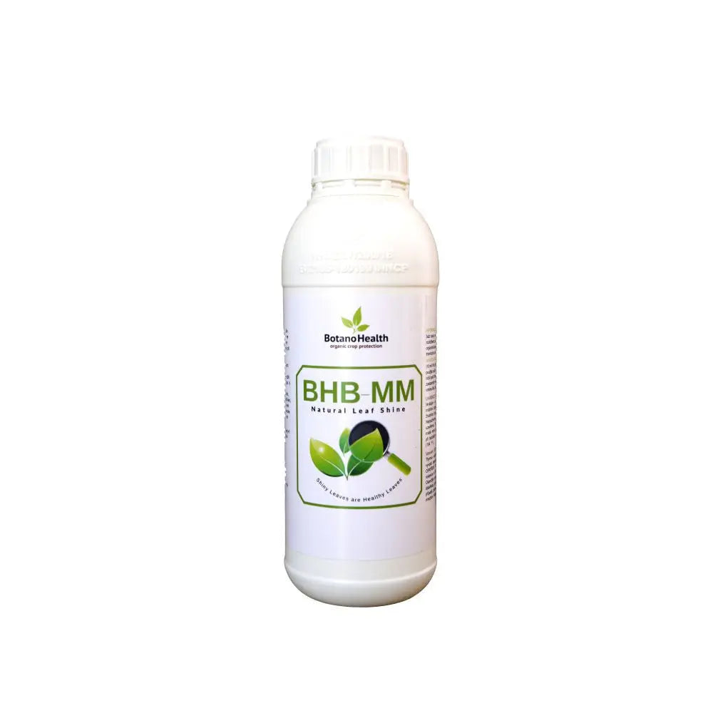 Botano Health BHB-MM Blätter Shiner, 1 l Botano Health