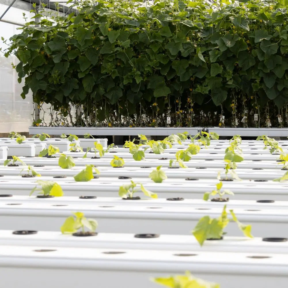 Terra Aquatica Growstream 40 V2 Terra Aquatica