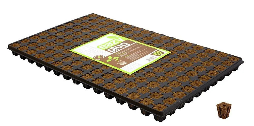 HGA Garden Eazy Plug CT150 Tray, 53x31.5x3 cm HGA Eazy Plug
