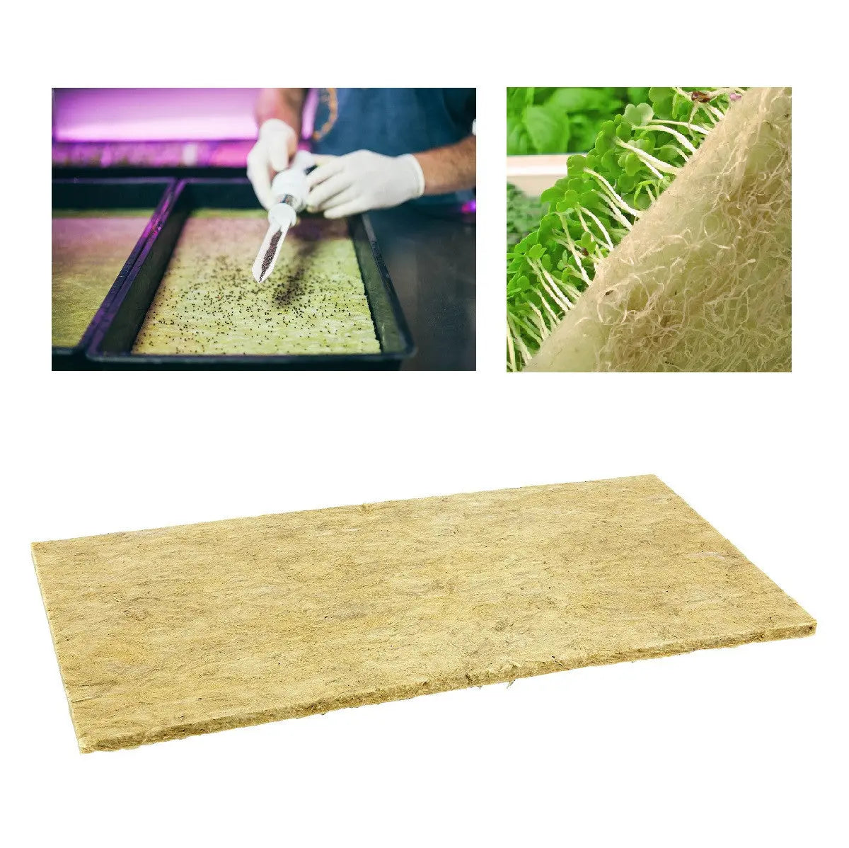 Grodan Cress Plate Microgreens, 49.5x24x1 cm BOX 95 Stk. Grodan