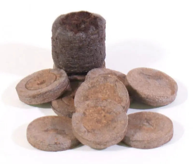 Jiffy 41 mm, 1 Stk. Jiffy