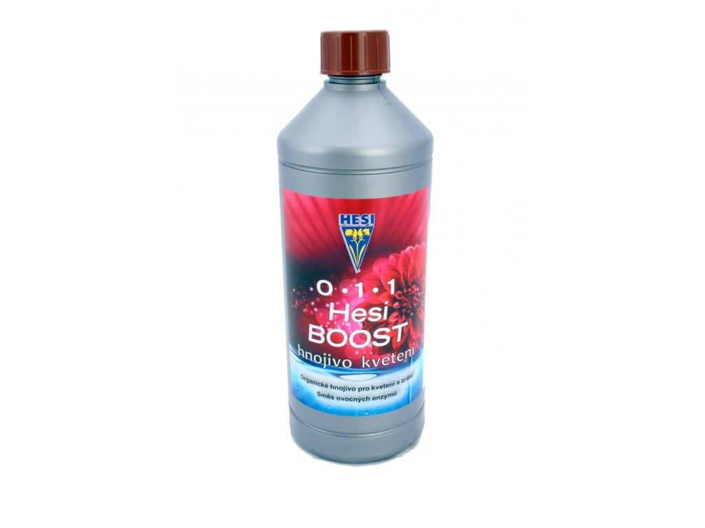 Hesi Boost Hesi