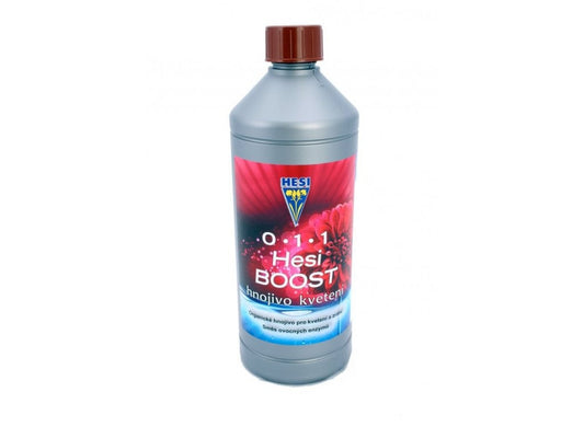 Hesi Boost Hesi