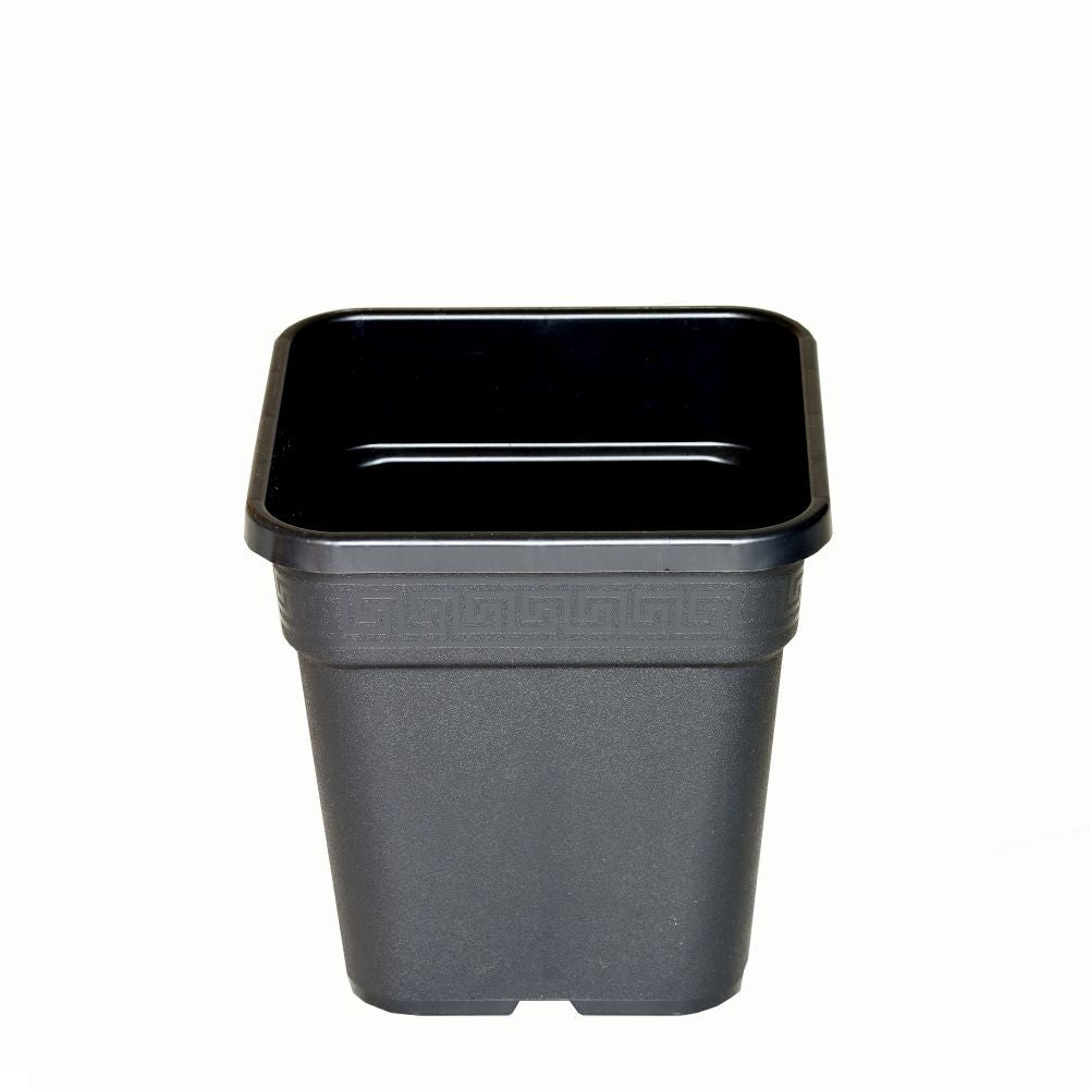 Wilma Blumentopf Plastik 24x24x28 cm - 11 l Wilma