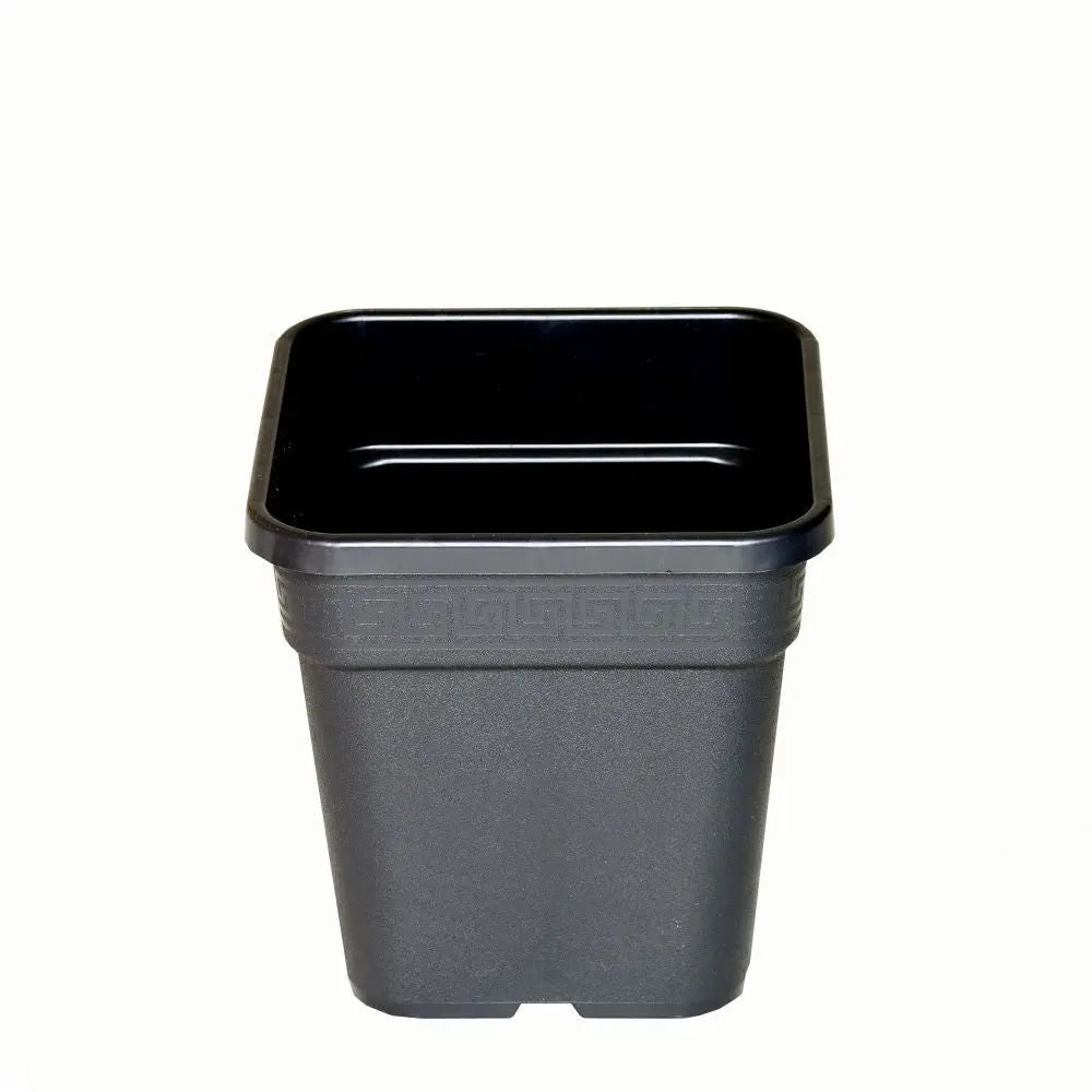 Wilma Blumentopf Plastik 24x24x28 cm - 11 l Wilma