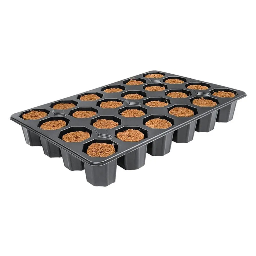 Root!t Dry Peat Free 24 Cell Filled Tray mit Pflanzgefäß, 29,5x19x4 cm Root!t