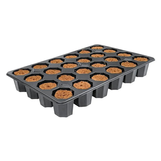 Root!t Dry Peat Free 24 Cell Filled Tray mit Pflanzgefäß, 29,5x19x4 cm Root!t