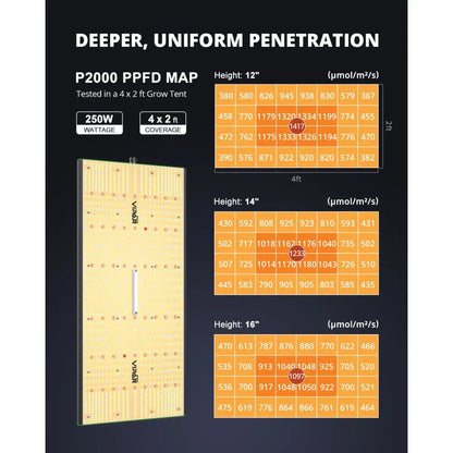 LED ViparSpectra PRO Series P2000 - 250W - 2024 Samsung LM301B Viparspectra