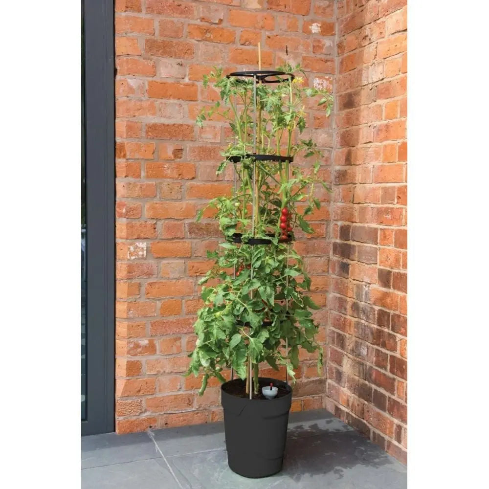 Garland Self Watering Grow Pot Tower Anthrazit Garland