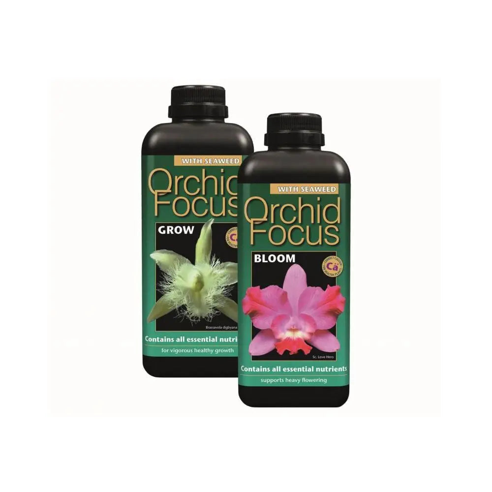 Growth Technology Orchid Focus Grow 1 l Growth Technology