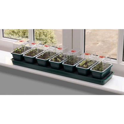 Garland Self Watering Propagator Super 7, 76x18.5x15 cm Garland