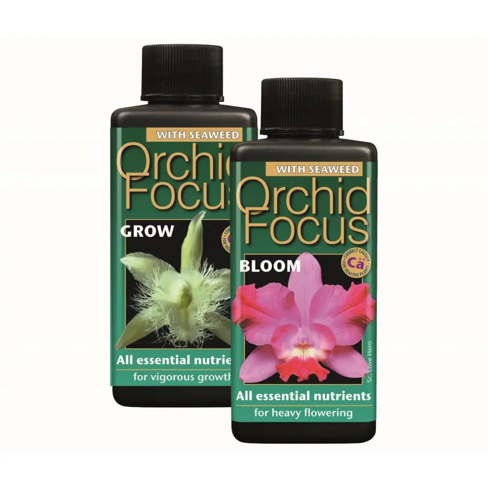 Growth Technology Orchid Focus Bloom 100 ml auf Orchideen Growth Technology