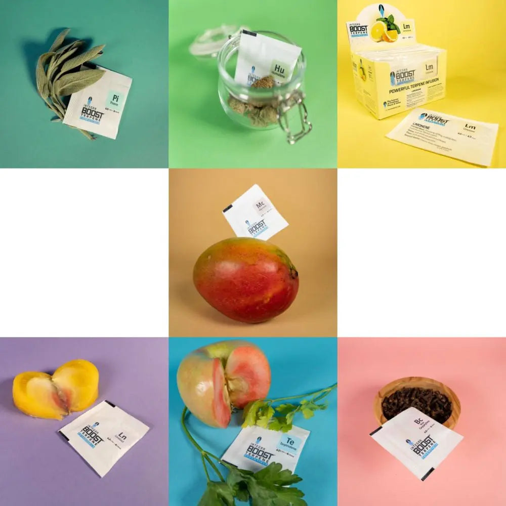 Integra Boost Terpene Essentials MIX 67 g, 62%, 7 Stk. Integra