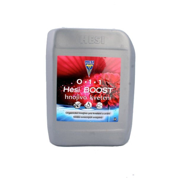 Hesi Boost Hesi