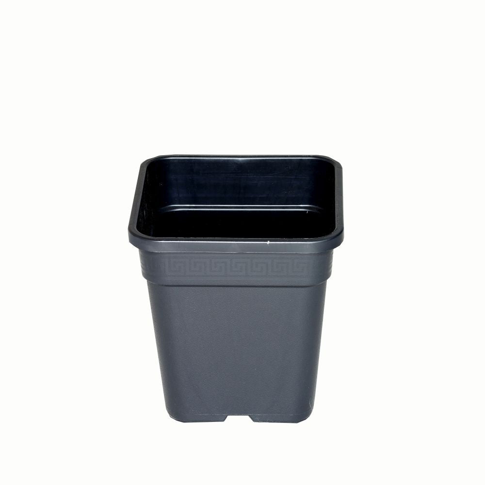 Wilma Blumentopf Plastik 18x18x23 cm - 6,5 l Wilma