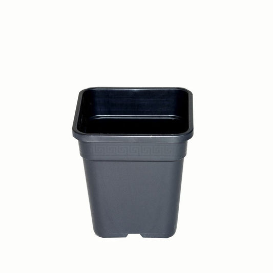 Wilma Blumentopf Plastik 18x18x23 cm - 6,5 l Wilma
