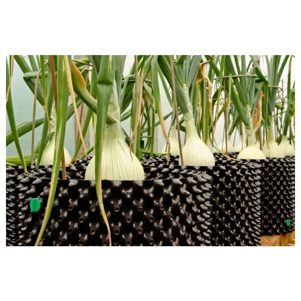 Air-Pot Blumentopf Plastik 38 l, BOX 25 Stk. Air-Pot