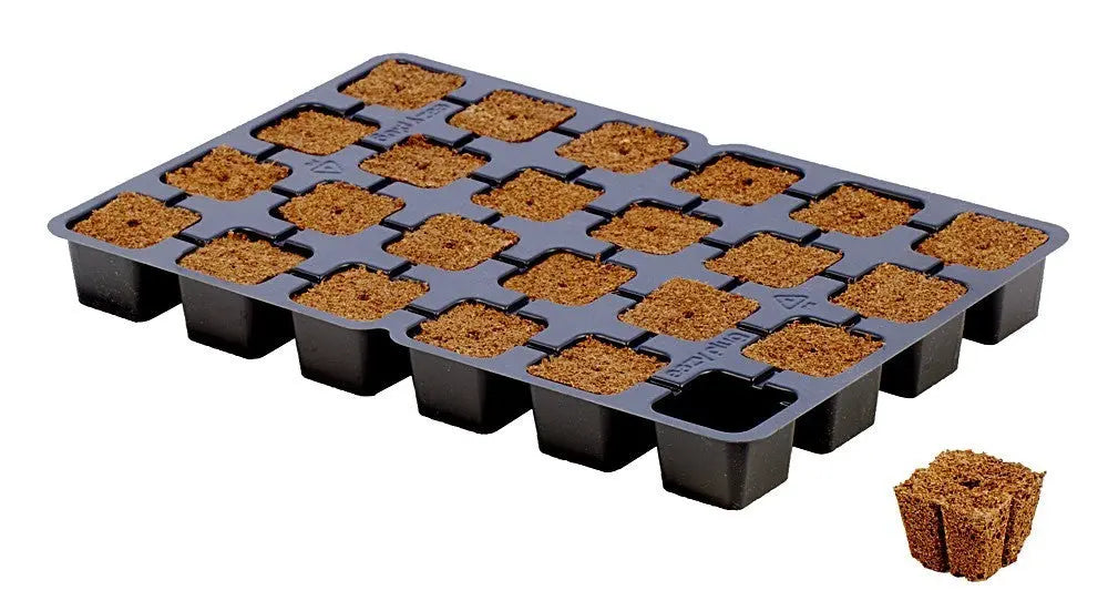 HGA Garden Eazy Plug CT24 Tray, 28.5x19x3 cm HGA Eazy Plug