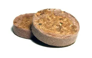 U Gro Plug 38 mm 1 Stück, dehydrierte Kokosnuss U Gro