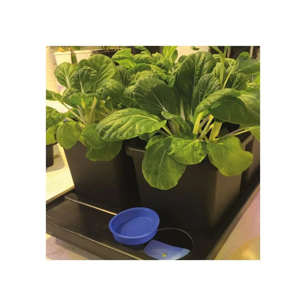 AutoPot Auto8 System mit 15l Töpfen, ohne Tank Autopot