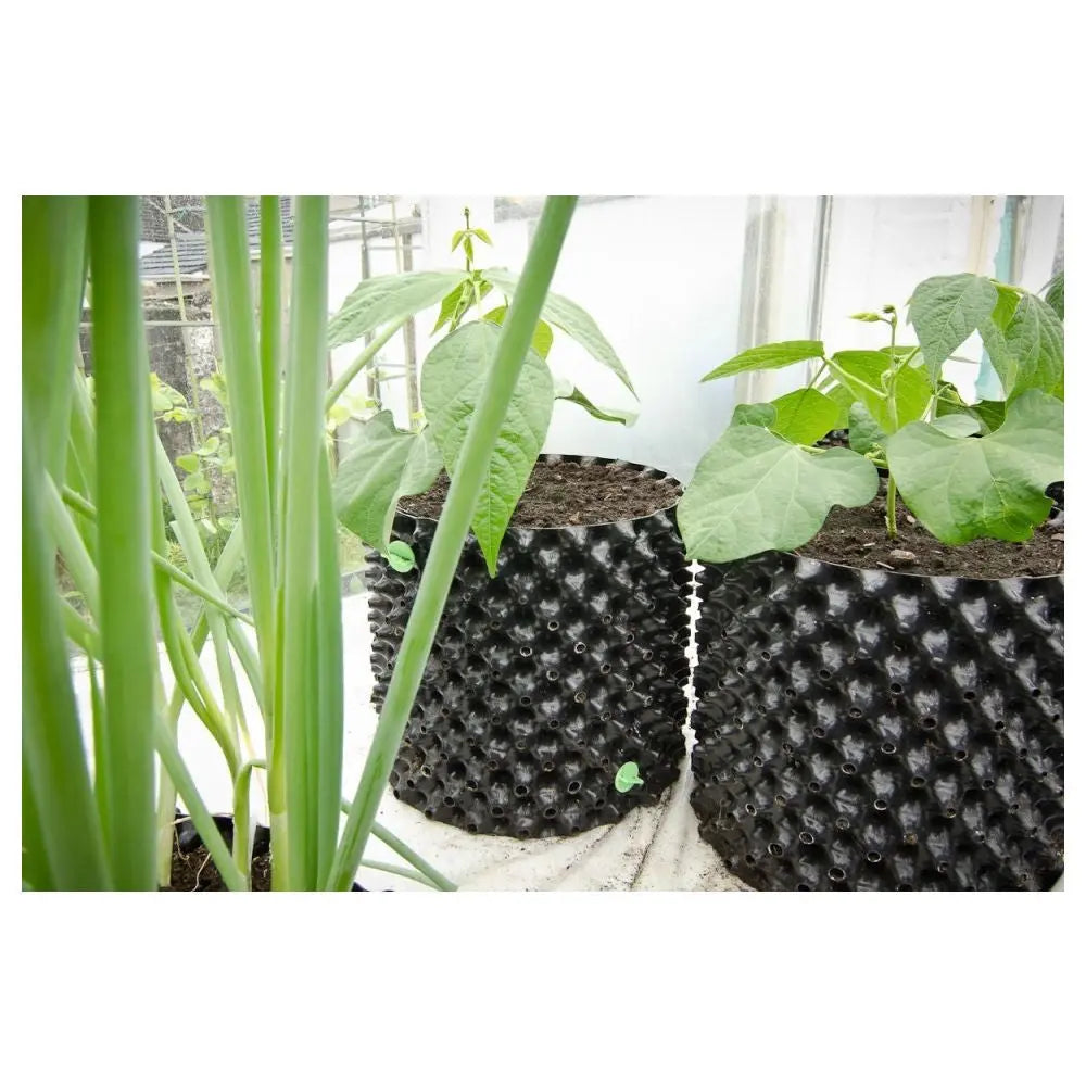 Air-Pot Blumentopf Plastik 38 l, BOX 25 Stk. Air-Pot