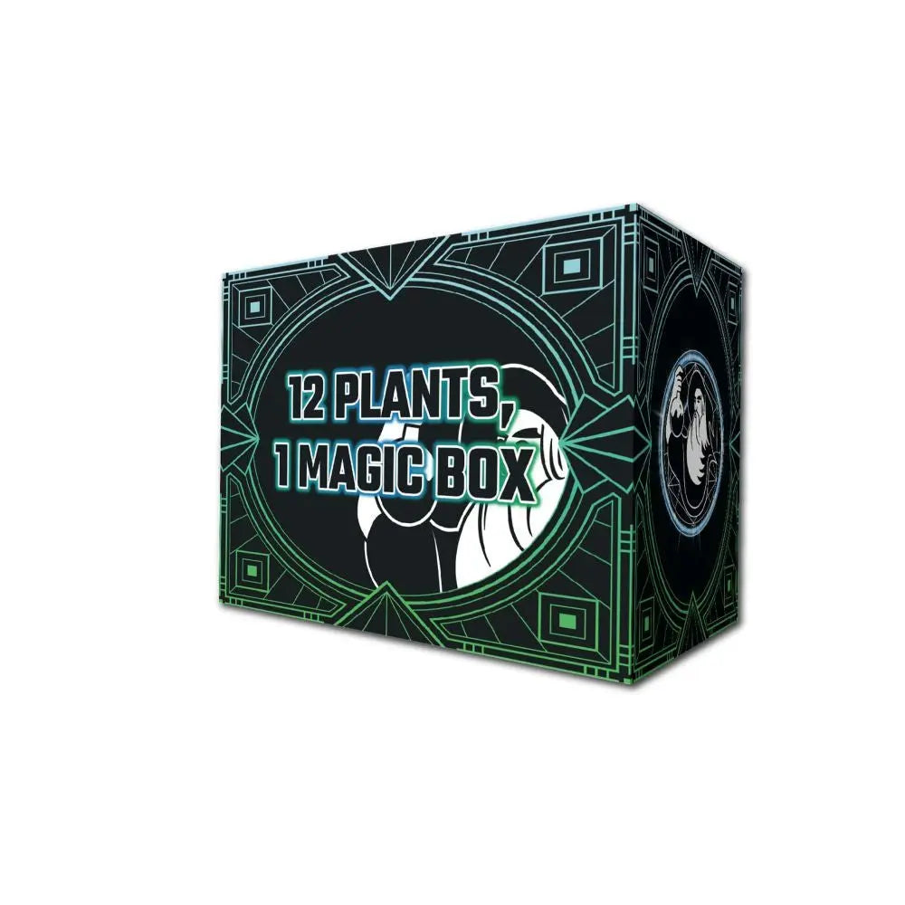 La Poción Del Brujo Potion Box La Poción Del Brujo