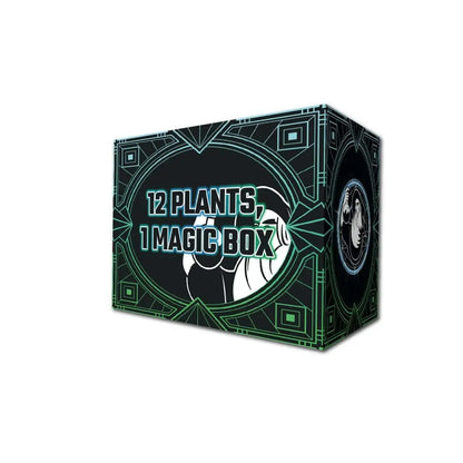 La Poción Del Brujo Potion Box La Poción Del Brujo