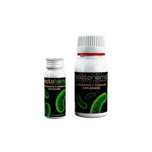 Agrobakterien Bactohemp, organisches Stimulans 50 g Agrobacterias